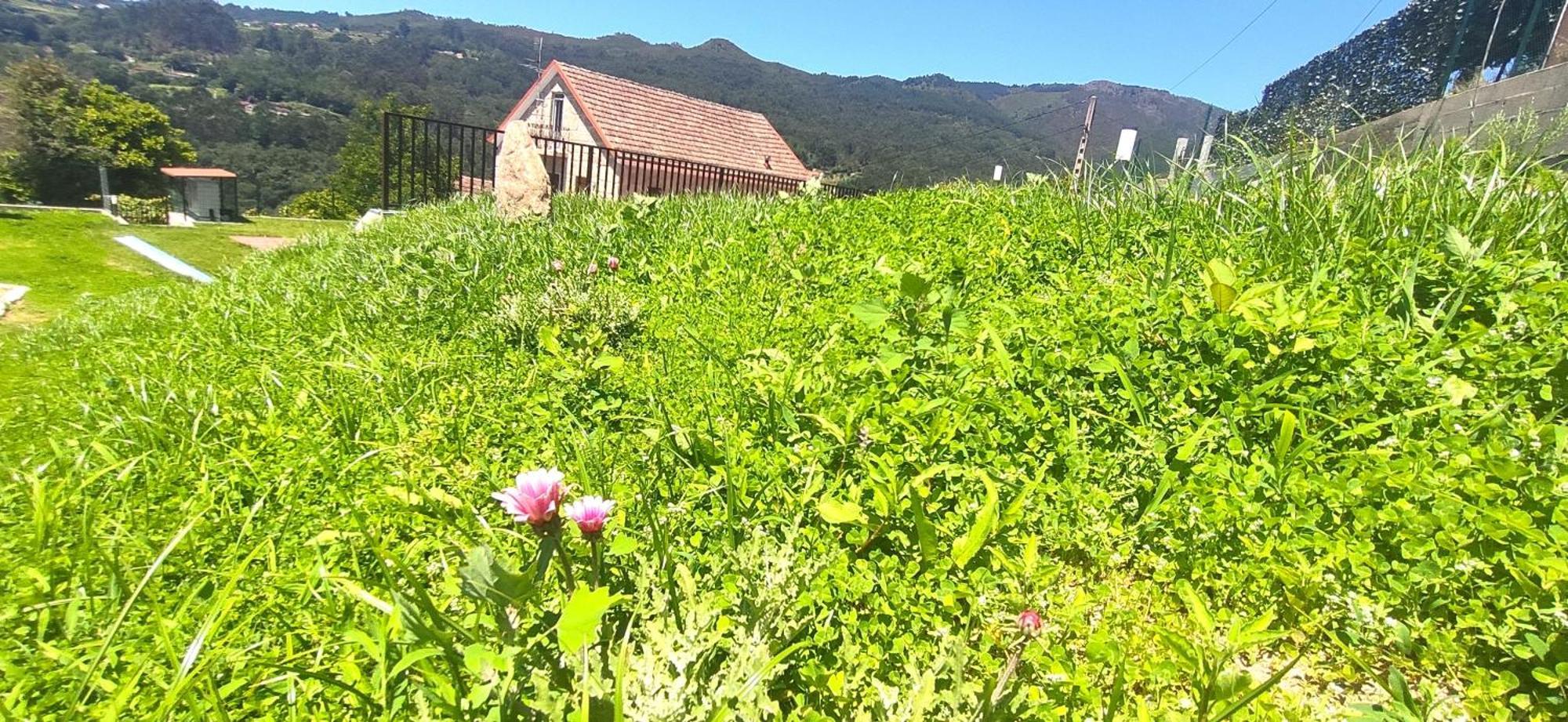 Casa A Mi Vera Covelo  Luaran gambar